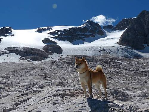 德甲赛场再次上演神奇逆转,德甲ds.