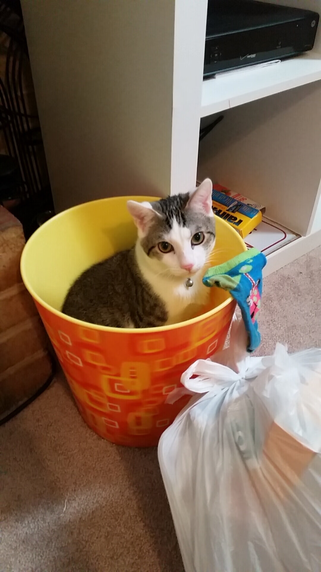 特色登山徒步,体验高原自然的奇妙魅力,登山 徒步