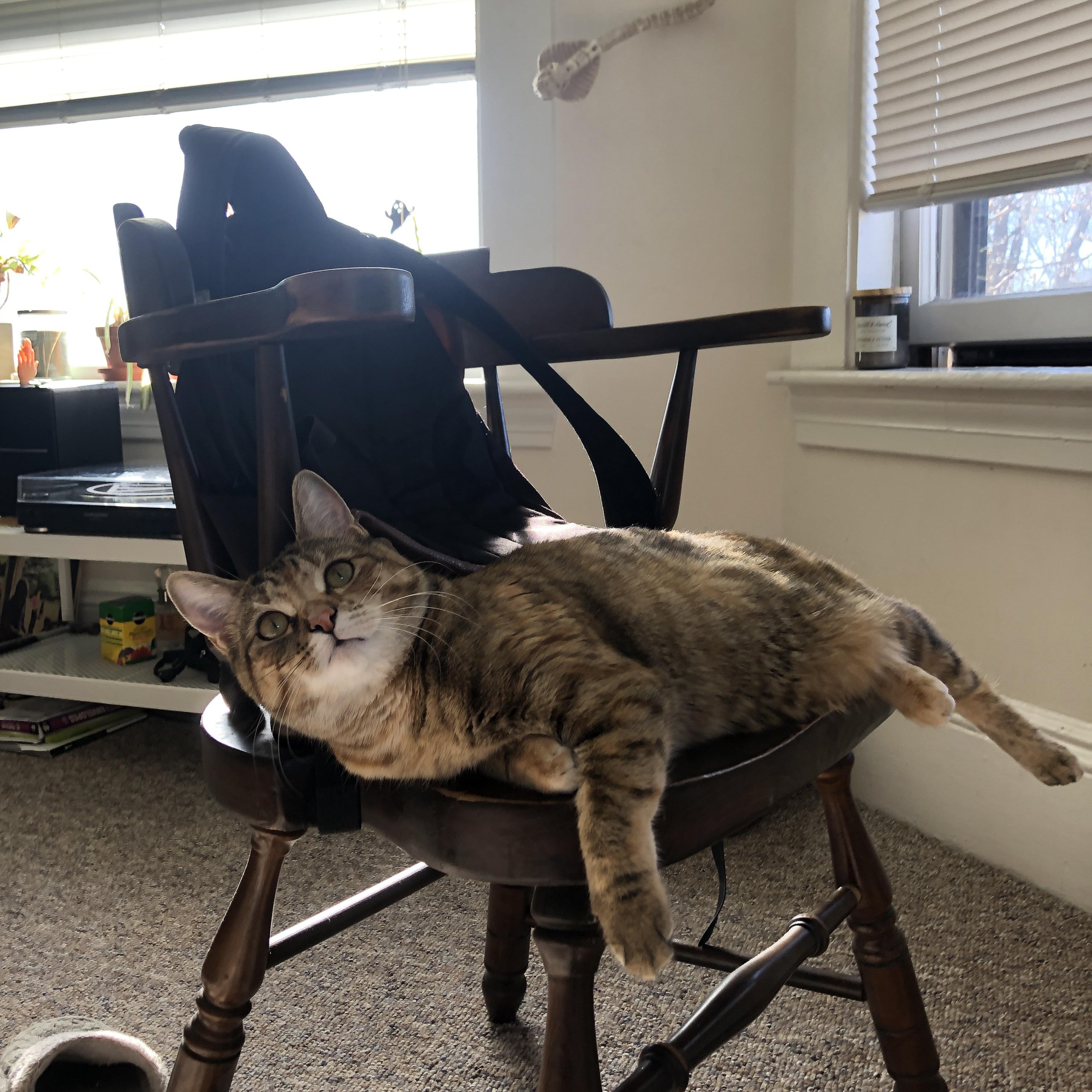 kaiyun官方网站-篮球联赛赛后数据分析报告发布，篮球赛汇总