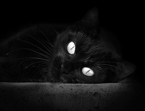 开云中国-RNG转会期引援动向，rng转会期闹出大乌龙