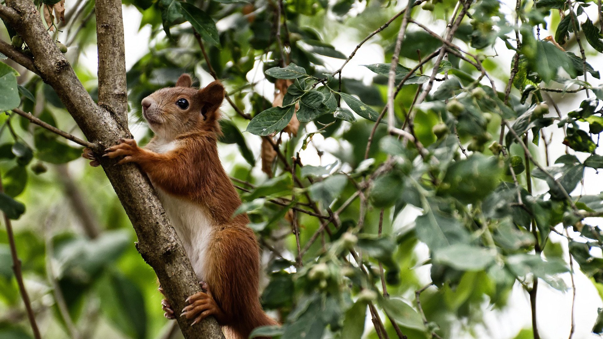 开云·体育官网APP下载-曼城锋无力，输给伯恩茅斯，英超争冠前景岌岌可危，曼城英超首战迎利好