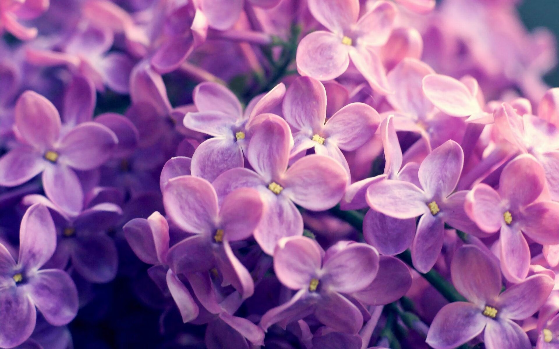 曼城锋无力,输给伯恩茅斯,英超争冠前景岌岌可危,曼城英超首战迎利好