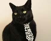 体育赛事观众行为分析与运营建议，现场观看体育赛事的优点