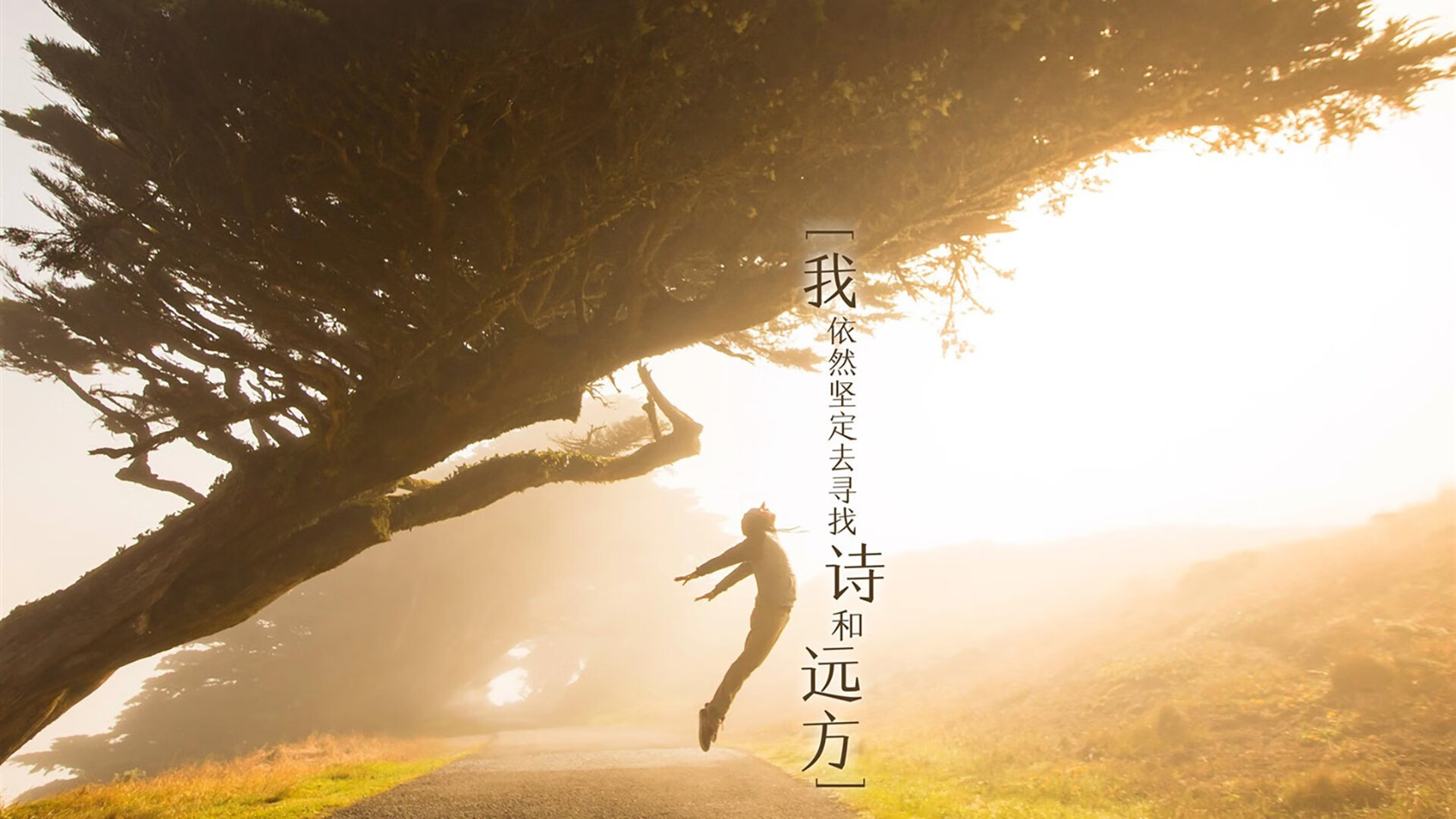 开云体育-篮球运动员比赛策略智能分析平台设计，篮球比赛分析师