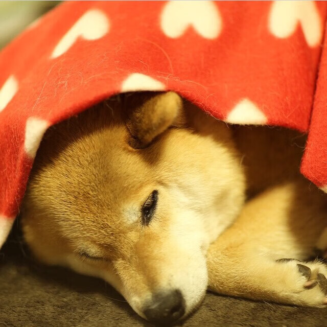 新闻中心携手高校共建合作平台，部署共建高校