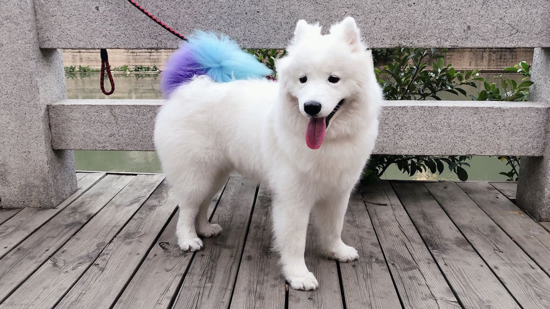 开云中国-世界杯逆转传奇：英雄登场，奇迹成真！，世界杯经典逆转