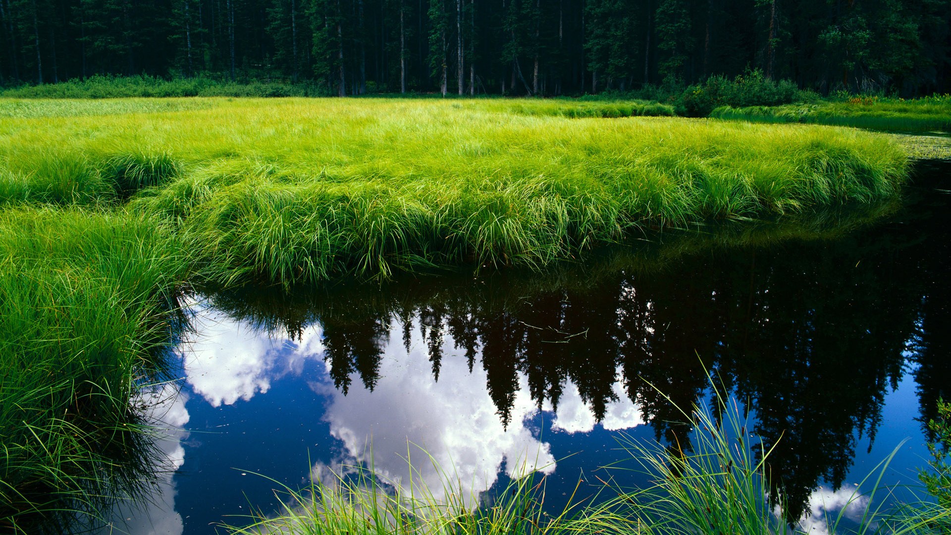 开云·体育官网APP下载-国家体育总局同步发布运动员征兵政策相关调整方案，国家运动员要求