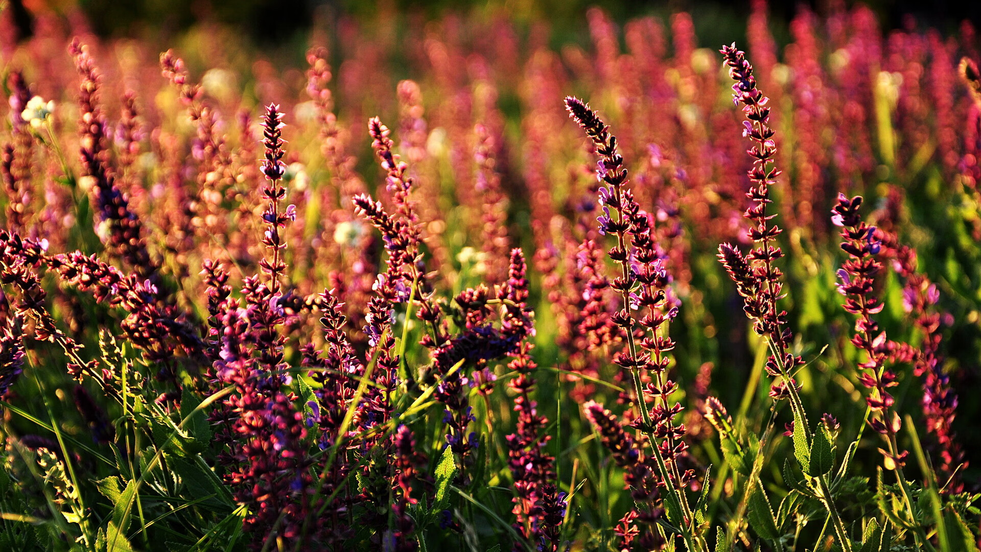 特色足球旅游纪念品广受欢迎，带动地方特色经济，足球特产