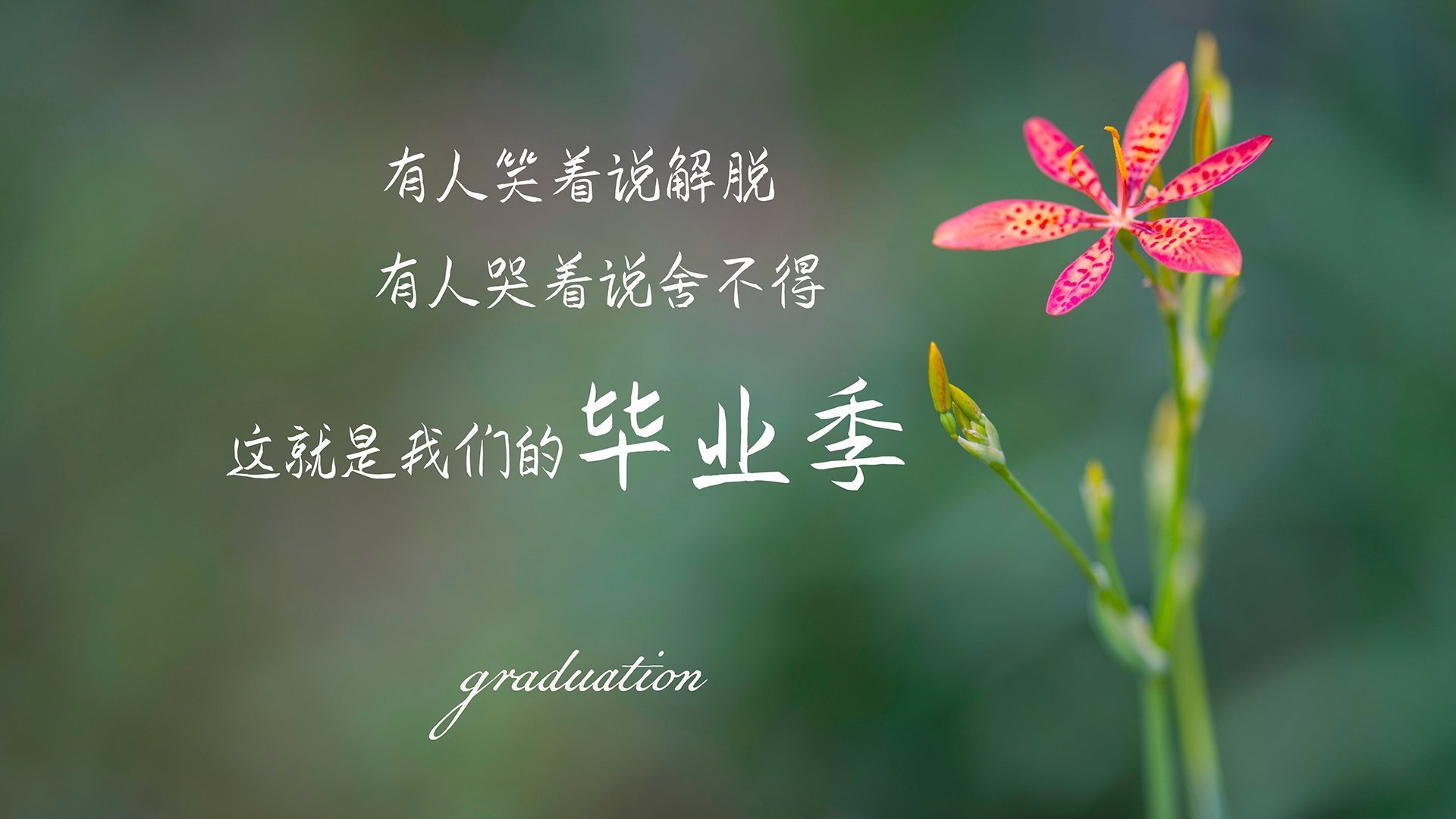 开云官方-职业联赛加强赛后分析制度形成教练反馈闭环，中国职业联赛存在的问题及其解决方法