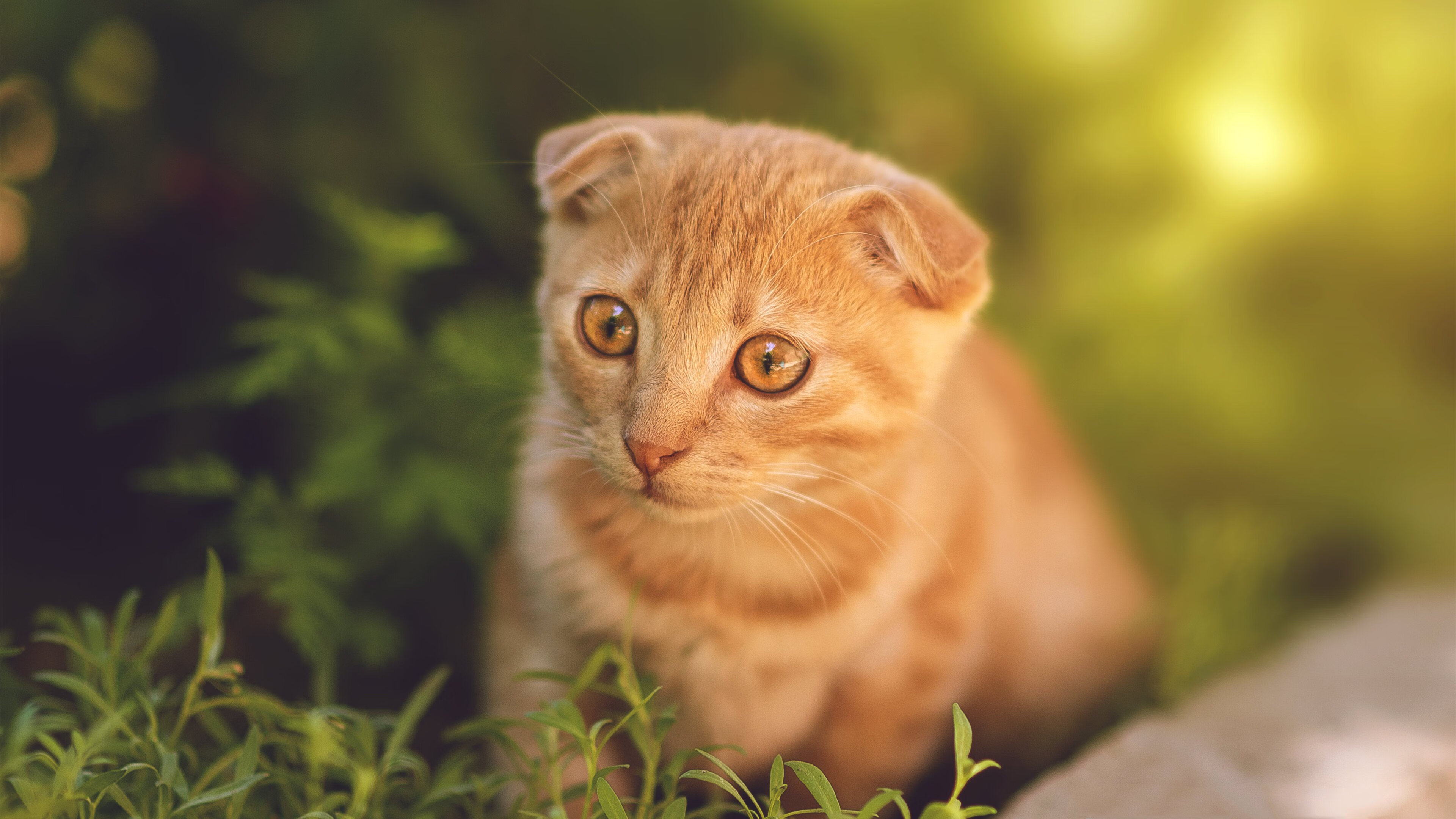 开云中国-羽毛球技战术教学体系完成阶段性更新，羽毛球技术战术